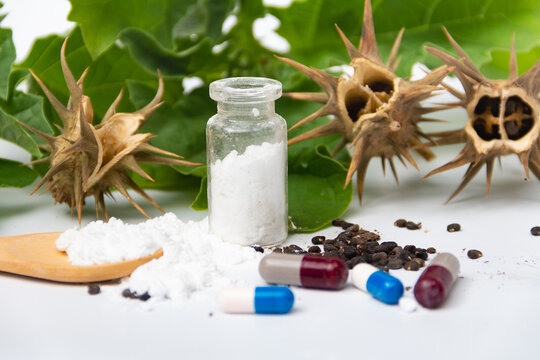 Koupit ketamin, koupit sibutramin, koupit MDMA, koupit kokain, koupit LSD